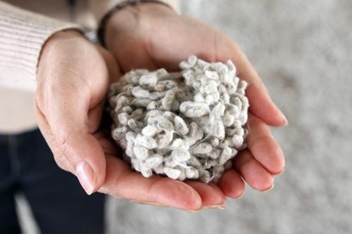 The wonderful world of cotton
