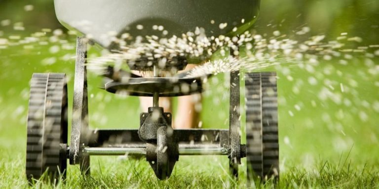 The Simple and Quick Guide to Fertilizing Your Lawn